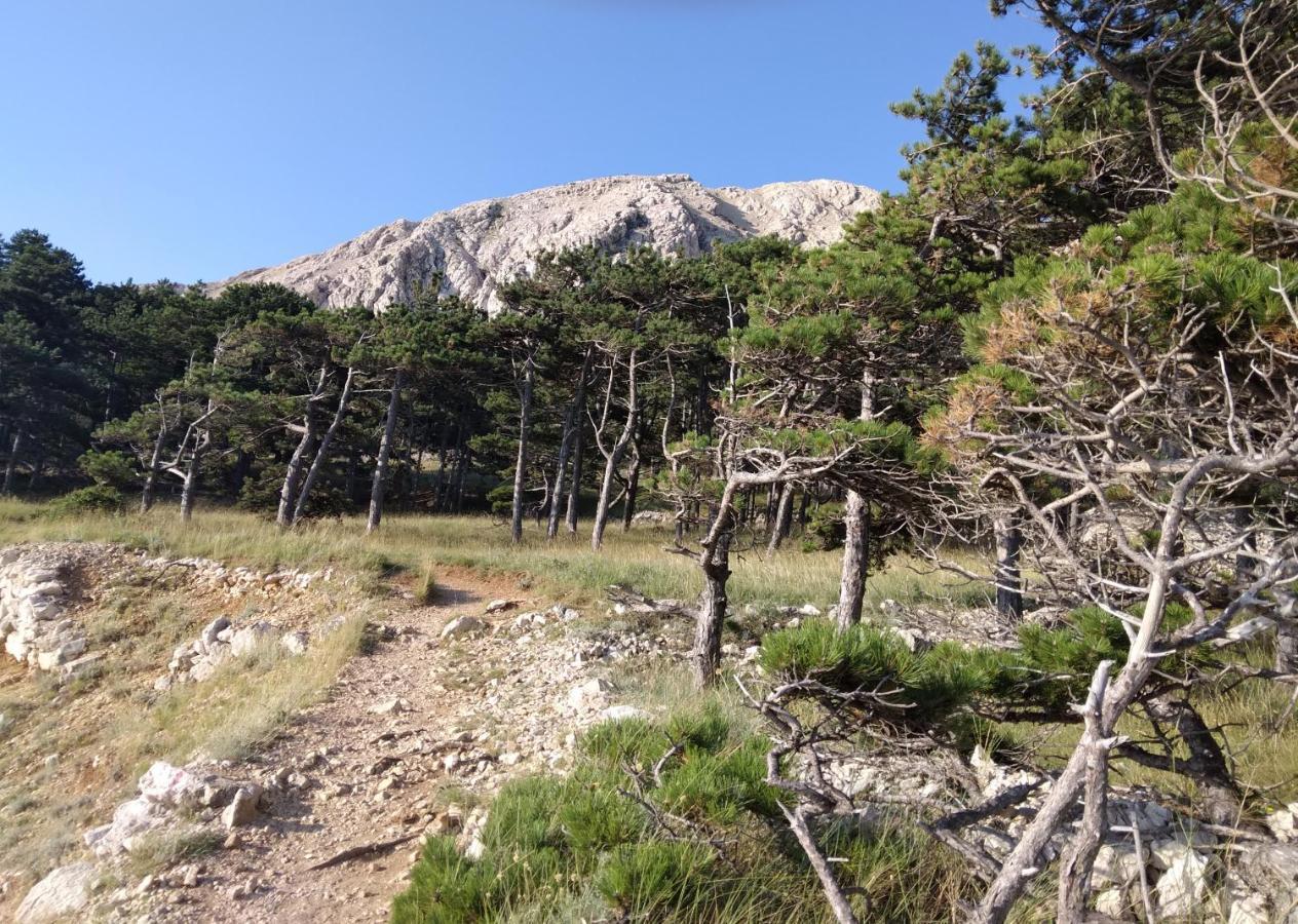 Apartmani Baska S Pogledom Na More 外观 照片